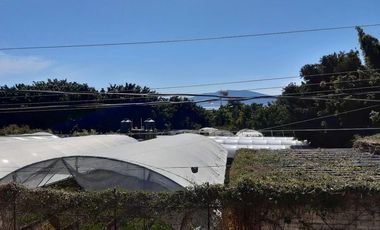 Terreno en venta en Ajijic Centro