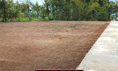 Tanah Purworejo, Dekat AKPER Pemkab Purworejo; SHM pasti