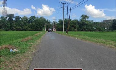 Tanah Purworejo, Dekat AKPER Pemkab Purworejo; SHM pasti