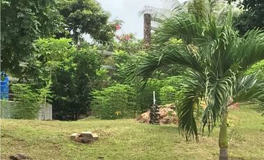HERMOSA PROPIEDAD  en Sajalices-Chame >>4,200mt2<<