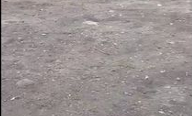 VENTA de LOTES en NEIVA