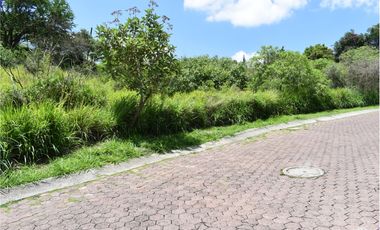 La noria: terreno con gran ubicación