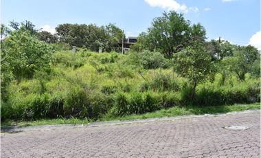 La noria: terreno con gran ubicación