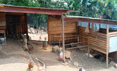 finca en venta en dapa. Cod V5050