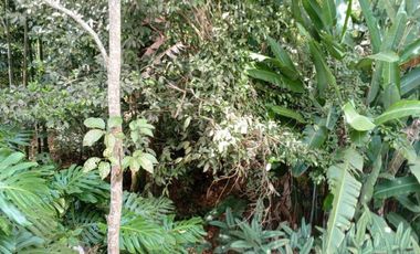 finca en venta en dapa. Cod V5050