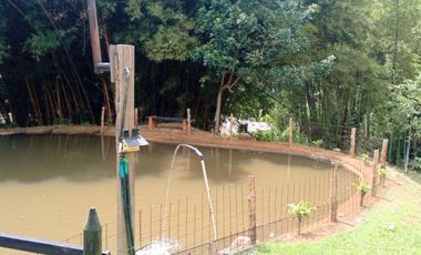 finca en venta en dapa. Cod V5050