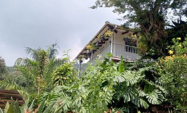 finca en venta en dapa. Cod V5050