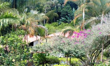 finca en venta en dapa. Cod V5050