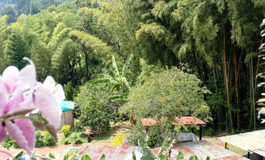 finca en venta en dapa. Cod V5050