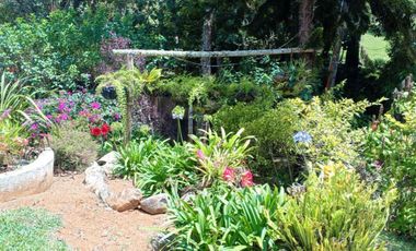 finca en venta en dapa. Cod V5050