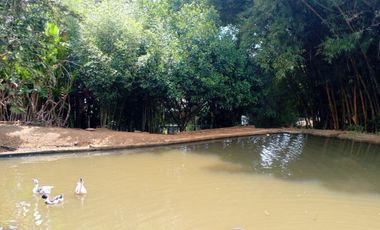 finca en venta en dapa. Cod V5050