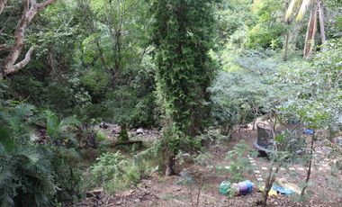 Quinta o Rancho en venta en Suchitlan, Colima