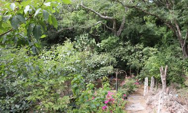 Quinta o Rancho en venta en Suchitlan, Colima