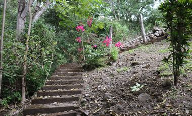 Quinta o Rancho en venta en Suchitlan, Colima