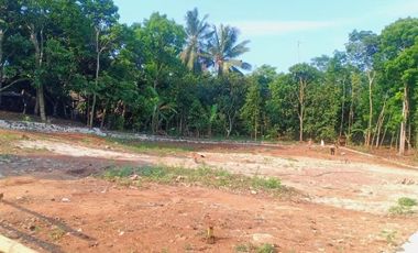 [DEE775] Land for sale 1031m2 Curug Bitung Lebak