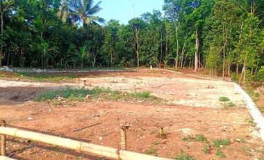 [DEE775] Land for sale 1031m2 Curug Bitung Lebak