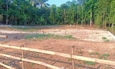 [DEE775] Land for sale 1031m2 Curug Bitung Lebak