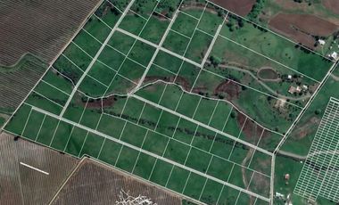 Parcela en Venta en 162.093 - Venta Parcelas San Rafael/Talca - 5.000Mts