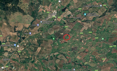 Parcela en Venta en 162.093 - Venta Parcelas San Rafael/Talca - 5.000Mts