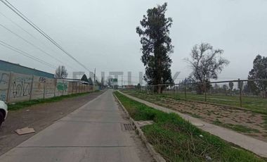 Se arrienda terreno con galpón y container en Buin
