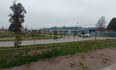 Se arrienda terreno con galpón y container en Buin