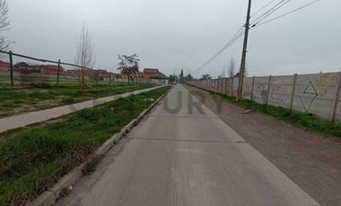 Se arrienda terreno con galpón y container en Buin