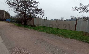 Se arrienda terreno con galpón y container en Buin