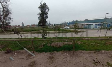 Se arrienda terreno con galpón y container en Buin