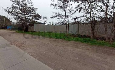 Se arrienda terreno con galpón y container en Buin