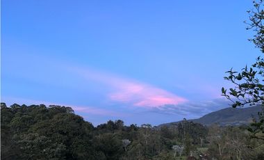 Venta Finca en el Carmen de Viboral sector Aguas Claras
