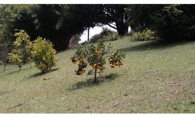 Venta Finca en el Carmen de Viboral sector Aguas Claras