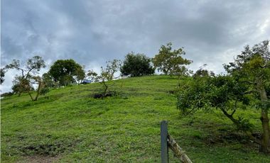 Venta Finca en el Carmen de Viboral sector Aguas Claras
