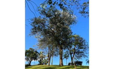 Venta Finca en el Carmen de Viboral sector Aguas Claras