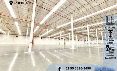 Immediate rent of an industrial warehouse in Puebla