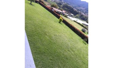 Venta finca en Carmen de Viboral, 1.280 mts, independiente