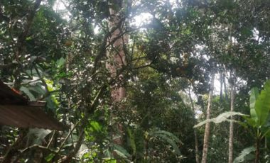 finca en venta en la vega. Cod V4733