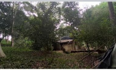 finca en venta en la vega. Cod V4733