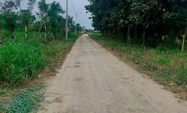 TERRENO DE VENTA  DETRAS DE LA URB. SAN EDUARDO, MACHALA