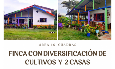 FINCA CON DIVERSIFICACION DE CULTIVOS Y 2 CASAS REF 4884