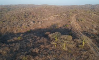 Venta de Terreno en Manta vía Rocafuerte El Salado 200 hectáreas