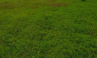 VENDO LOTE DE TERRENO EN EL CENTRO DE STA CRUZ TLAXCALA,  ATRAS DEL COBAT