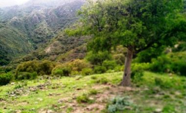 Venta Campo 10 hectáreas – Dique Piscu Yaco – San Luis