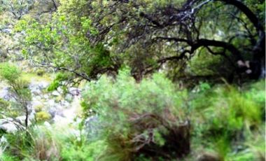 Venta Campo 10 hectáreas – Dique Piscu Yaco – San Luis