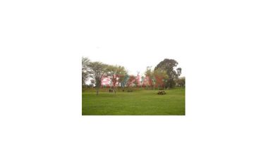 Venta Terreno - Condominio El Polo