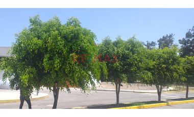 Venta Terreno - Condominio El Polo