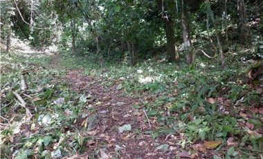 Terreno con vista a la Bahía en Colón