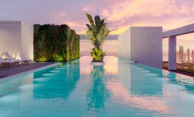 The Ivy Tower: Aprovecha el mejor precio en Santa María!