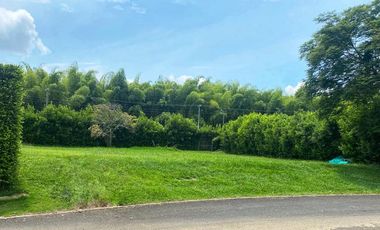lote en venta en alfaguara. Cod V10373