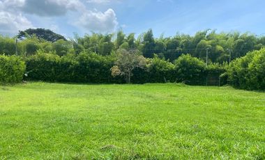 lote en venta en alfaguara. Cod V10373