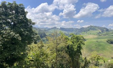 comercial (casa para comercio) en venta en vereda la leona. Cod V18313